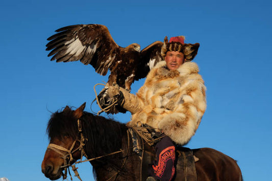 A Journey Through Mongolian Food Culture
